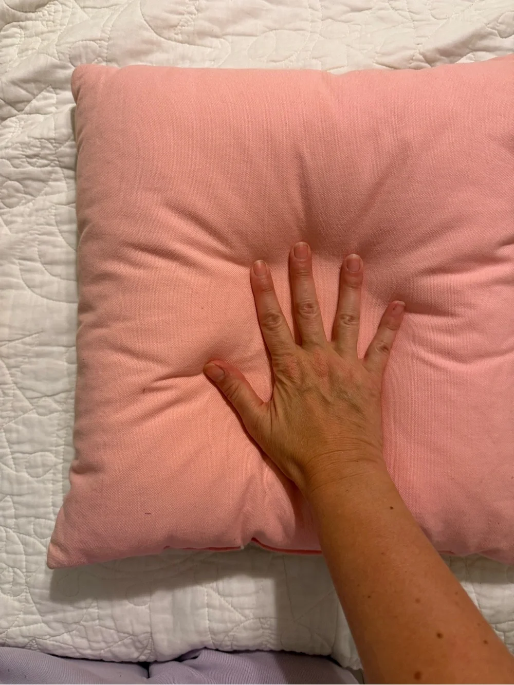 Pink French Bulldog Pillow